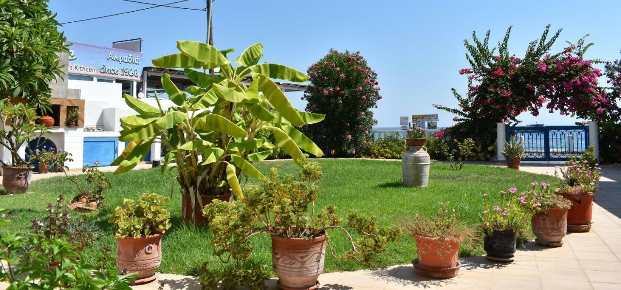 Antonios Apartments Stegna Archangelos  Exterior photo